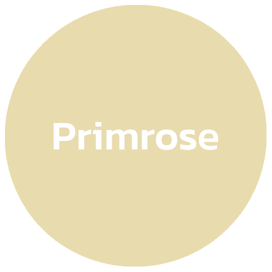 primrose พริมโรส